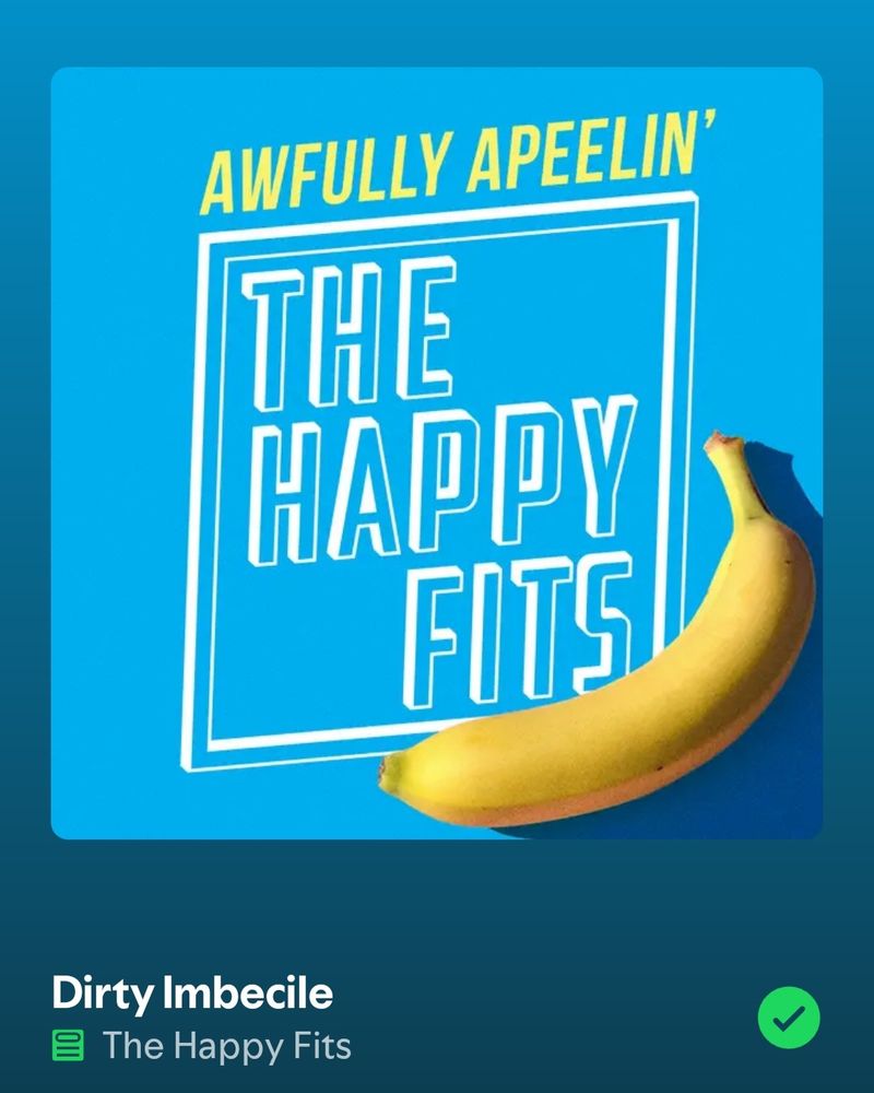 Screenshot of the song Dirty Imbecile by The Happy Fits