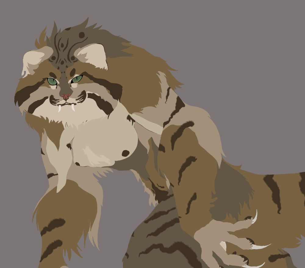 WIP of a line less drawing of a brown tabby wildcat werecat 