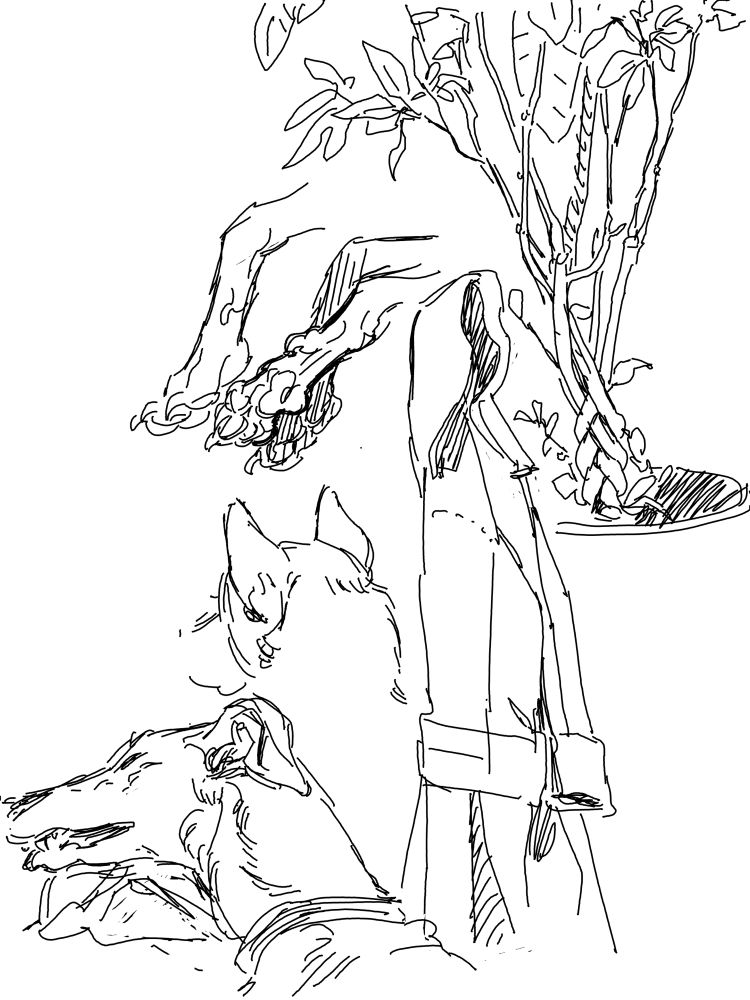 Random life sketches of my dogs, a money tree & a coat