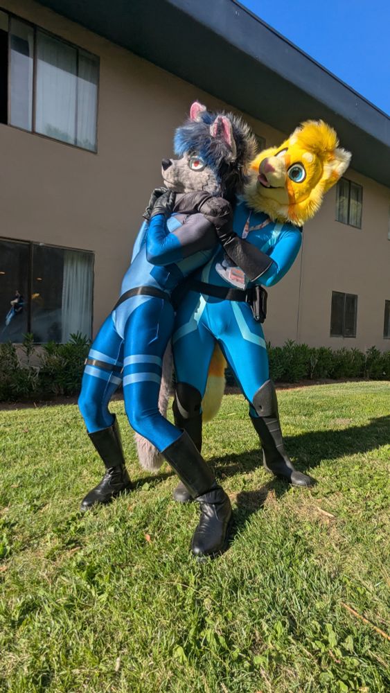 A wolf in a blue spandex suit being choked out from behind by a yellow cat in a blue spandex superhero suit at LVFC 2025!