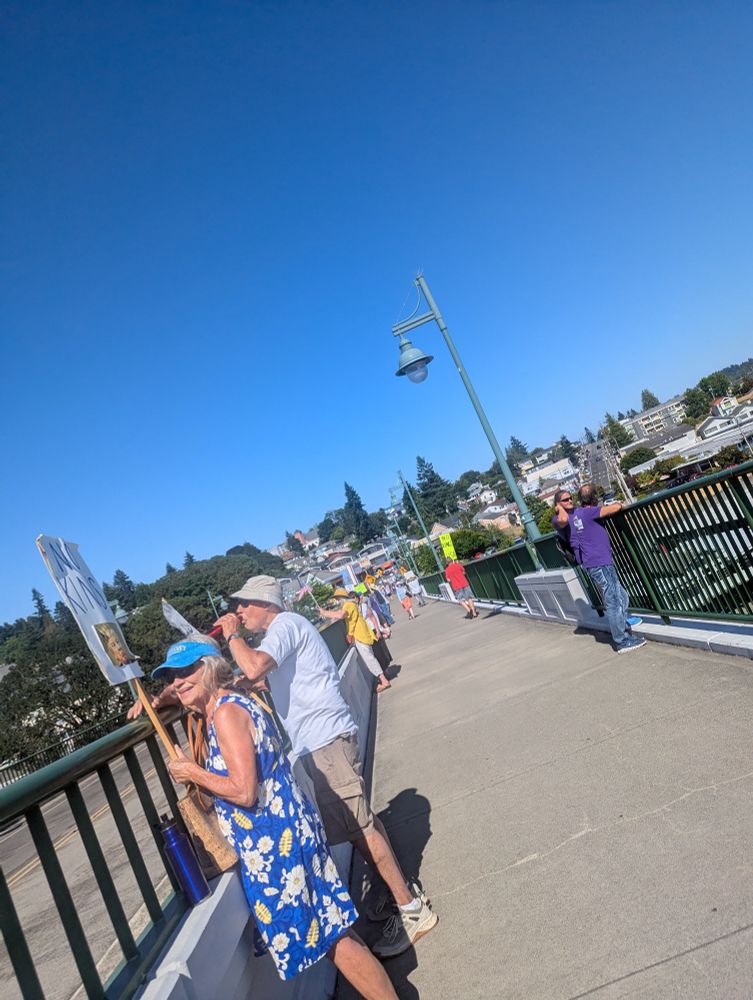 Manette Bridge Good Trouble Protest