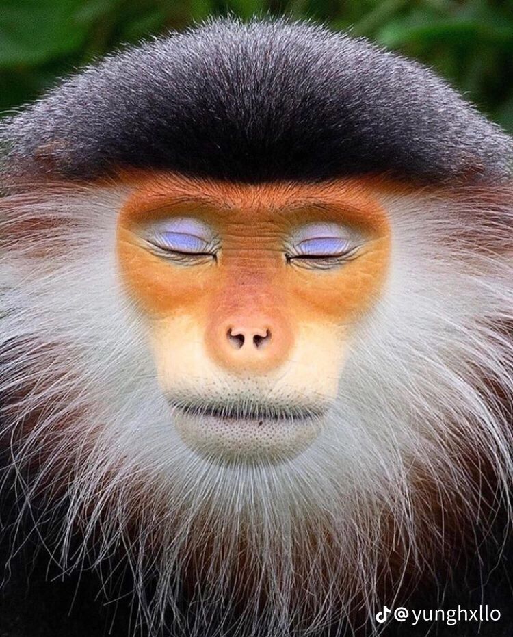 Comment image