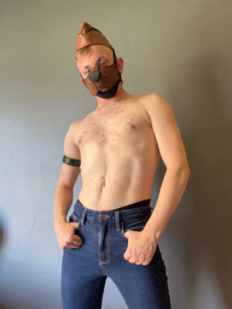 Rover in a brown muzzle and military hat, with yellow armband and blue jeans