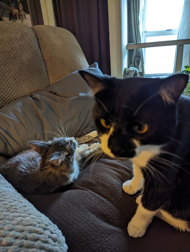 Post love fest. Luna and Augie