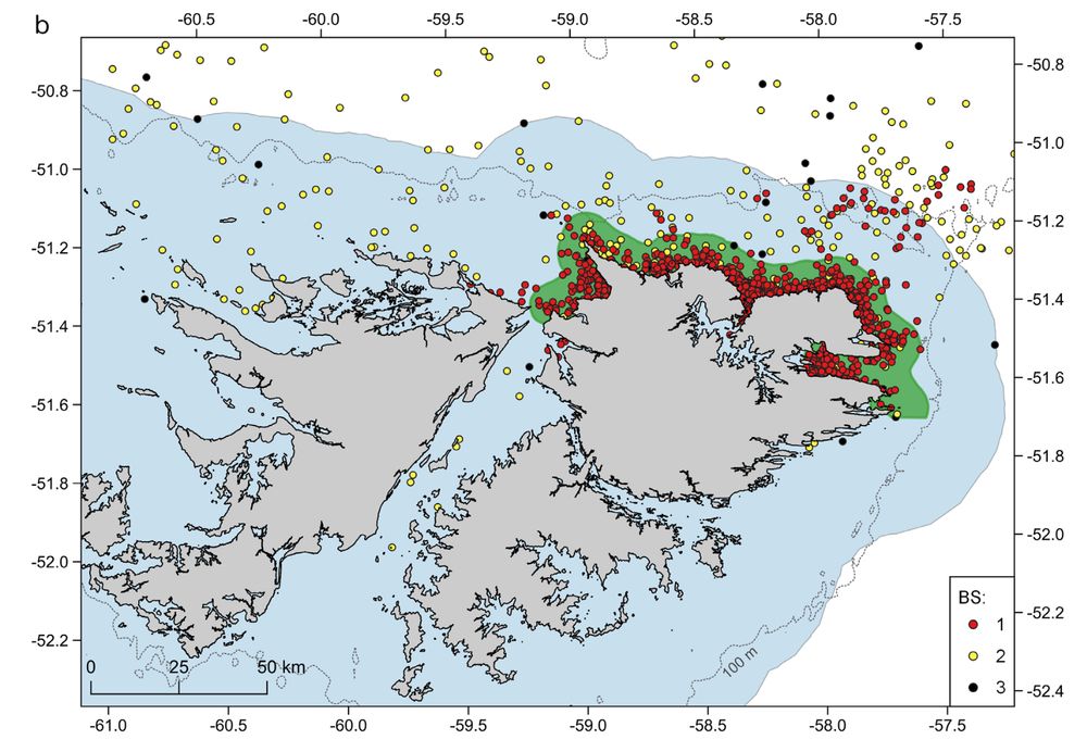 Locations of 10 satellite-tagged southern right whales Eubalaena australis in the waters around the Falkland Islands (Malvinas) in 2022 using the model-predicted positions according to 3 behavioural states (BSs) generated with discrete-time hidden Markov models (BS1: slow and non-directional movements, indicative of high-use habitats; BS2: intermediate use areas, likely including foraging; and BS3: directed and fast movements, indicative of transitory habitats). The spatial extents of the 30 km buffer from the coast and the north-east Falklands (Malvinas) right whale wintering area Important Marine Mammal Area (IMMA) are shown