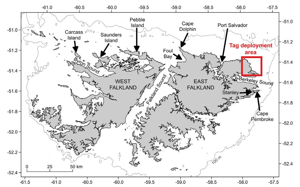 Map of the Falkland Islands, southwest Atlantic, showing key coastal sites in the north, and a red box in the northeast showing where the satellite tags were deployed on southern right whales in July 2022.