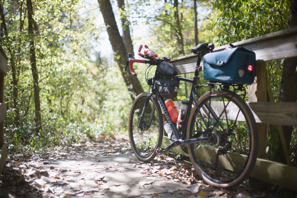 A drop-bar all-road bicycle with frame and rear rack packs leaning against a wooden railing in a heavily wooded area, sun shining through the trees illuminating the leaves covering the narrow path.