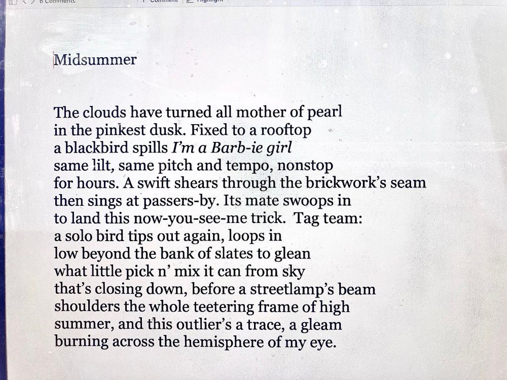 A poem about swifts in high summer