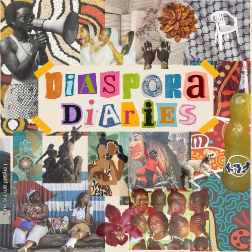 Diaspora Diaries logo; a collage of images of black people, books, fabrics and patterns