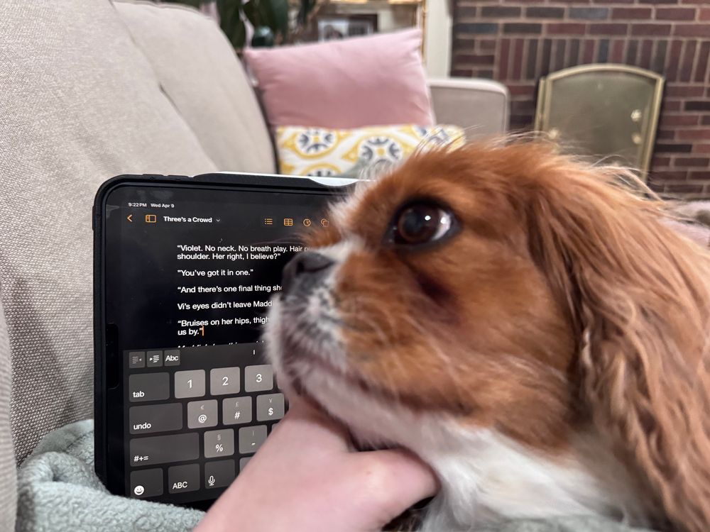 Con’s dog in front of Con’s iPad on which con is writing some smut. The smut can be seen in full in the next photo. 