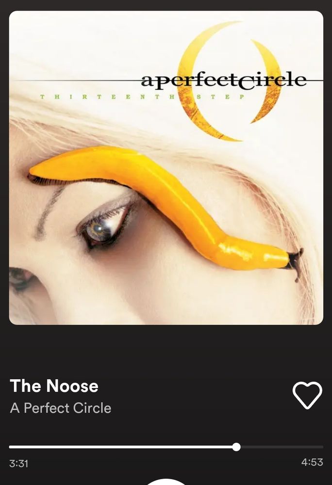 The Noose
A Perfect Circle
