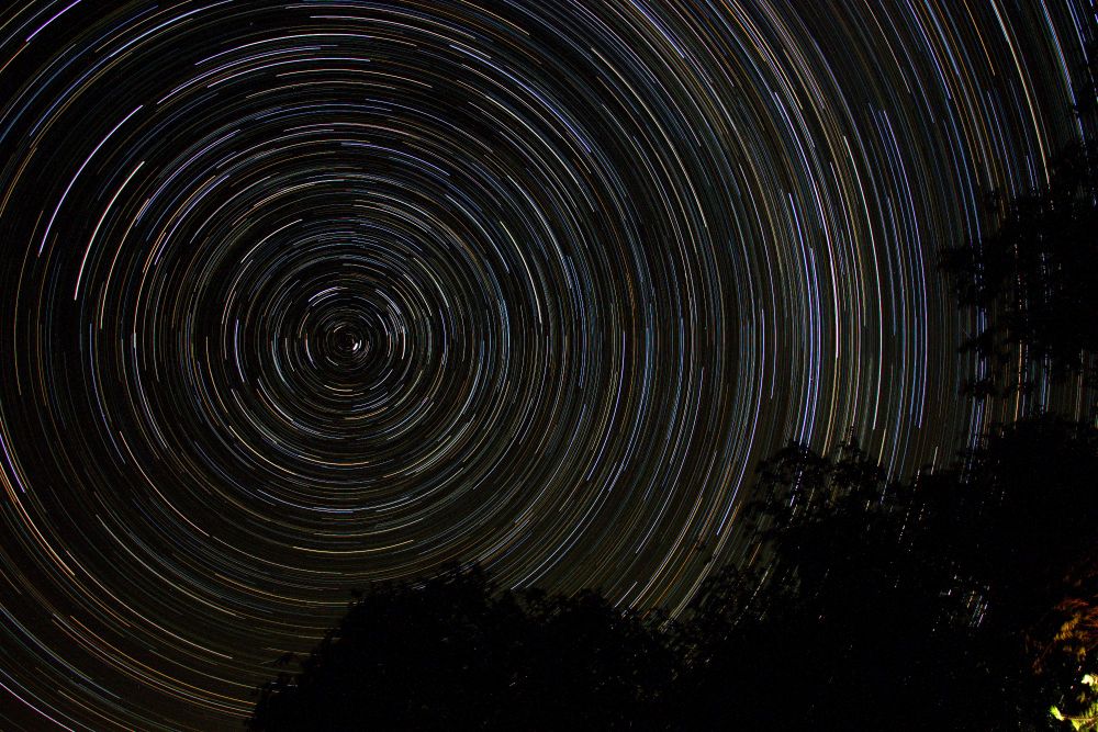 An image of star trails. There are white, yellow, blue, and even reddish stripes from red giants - all circling around celestial north, which is offset to the left side of the photo; a pesky tree is present on the lower right.