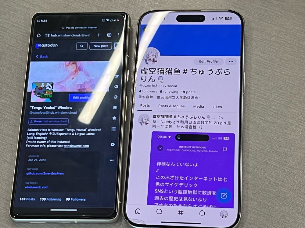 Winslow 和虚空猫猫鱼的社交媒体主页贴贴照片～