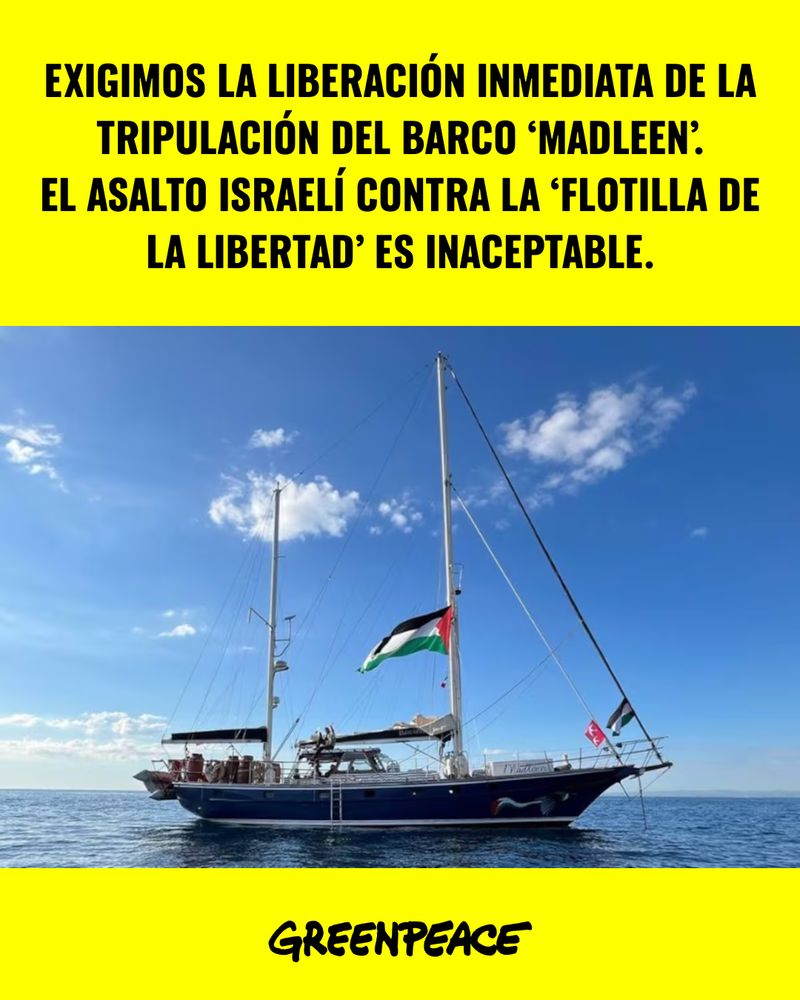 La imagen muestra una imagen del barco Madleen. Sobre él, en letras negras y mayúsculas sobre fondo amarillo, se lee: EXIGIMOS LA LIBERACIÓN INMEDIATA DE LA TRIPULACIÓN DEL BARCO ‘MADLEEN’.
EL ASALTO ISRAELÍ CONTRA LA ‘FLOTILLA DE LA LIBERTAD’ ES INACEPTABLE.