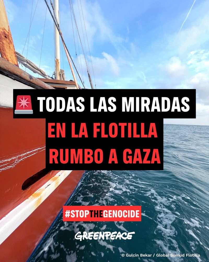 Cartel en el que se muestra una embarcación en el mar. Sobre la imagen se lee "Todas las miradas en la flotilla rumbo a Gaza"