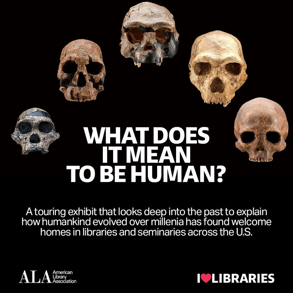 What does it mean to be human? A touring exhibit that looks deep into the past to explain how humankind evolved over millennia has found welcome homes in libraries and seminaries across the United States. Archeological skulls of human ancestors are arranged in a semicircle.
