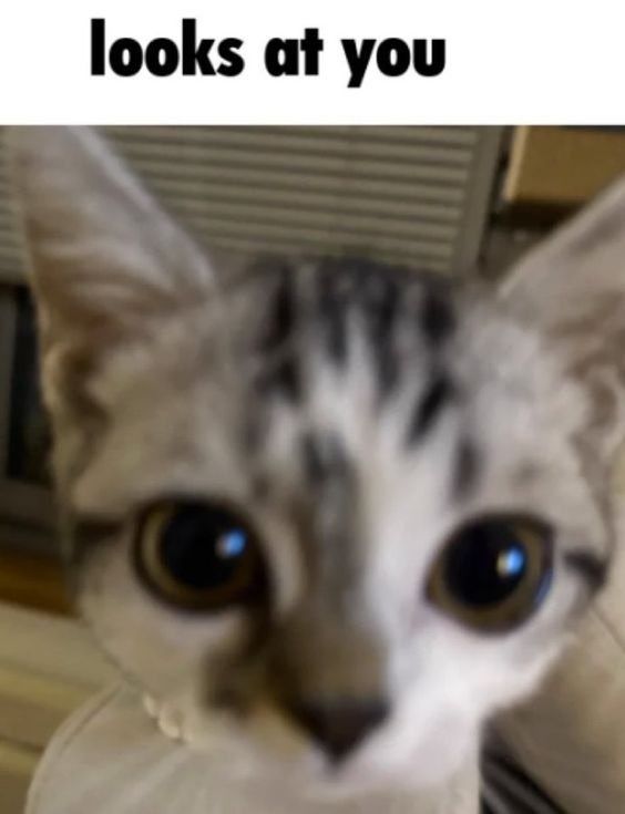 Comment image