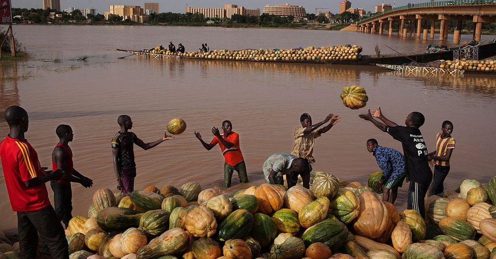 US pauses visa processing at embassy in Niger, State Dept says