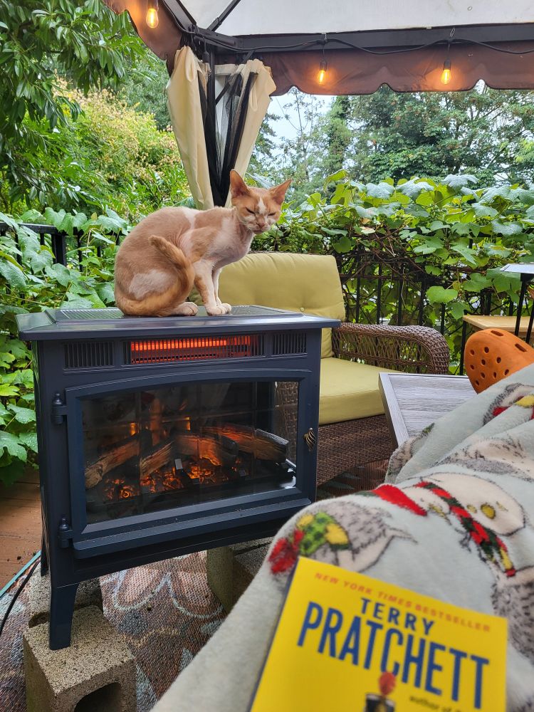 An orange and white Devon Rex cat sits on a patio heater under a canopy looking at me. I'm under a blanket with Terry Pratchett's Monstrous Regiment on my lap. 