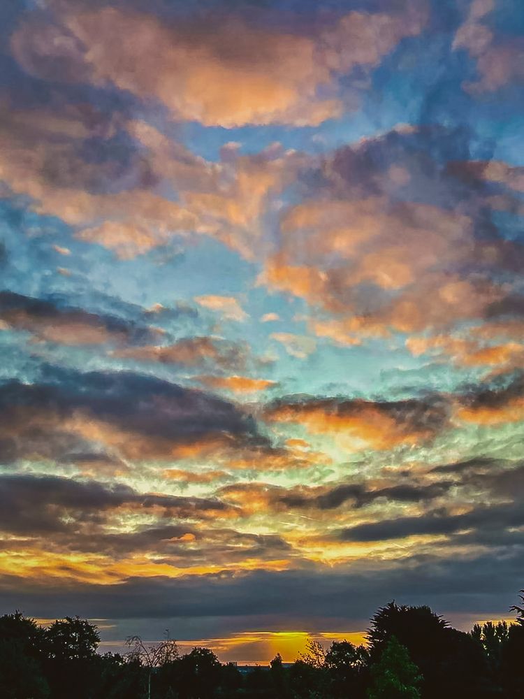 The picture shows a low setting sun with golden rays just going behind a distant tree line. The sky itself is a mixture of greys yellows, pinks, orange and golden tones.

The clouds are scattered and radiate from dark to light  to the top of the picture with a light blue sky hiding behind them.