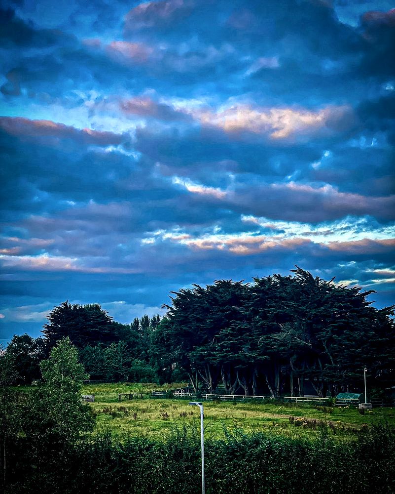 The scene shows a small field with an animal paddock in the middle of the photograph, a hedge with small trees in the foreground and large trees stretched into the distance at the back of the photograph.

Above the sky is thick and rich with clouds giving off blues, greys and hints of pink colours. 

All the fields, trees and the grass are in different lush shades of light, dark and medium greens.