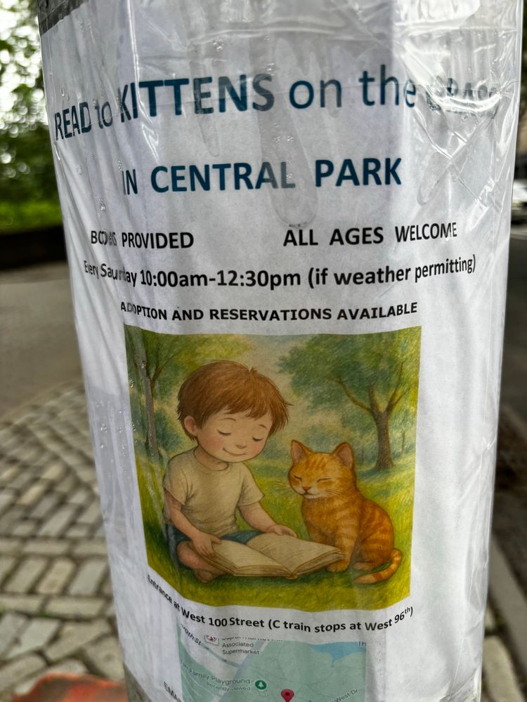 A flyer on a light post reading “Read to Kittens on the Grass in Central Park.”
There is an illustration of a little boy reading to a kitten on the grass.