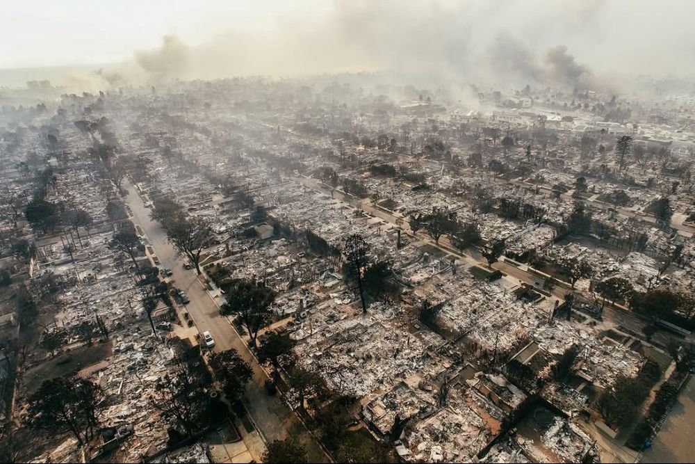 Drone photo of Pacific Palisades, where 75% of homes were destroyed by fire. Photo from X by @kitkarzen, via @LAScanner 