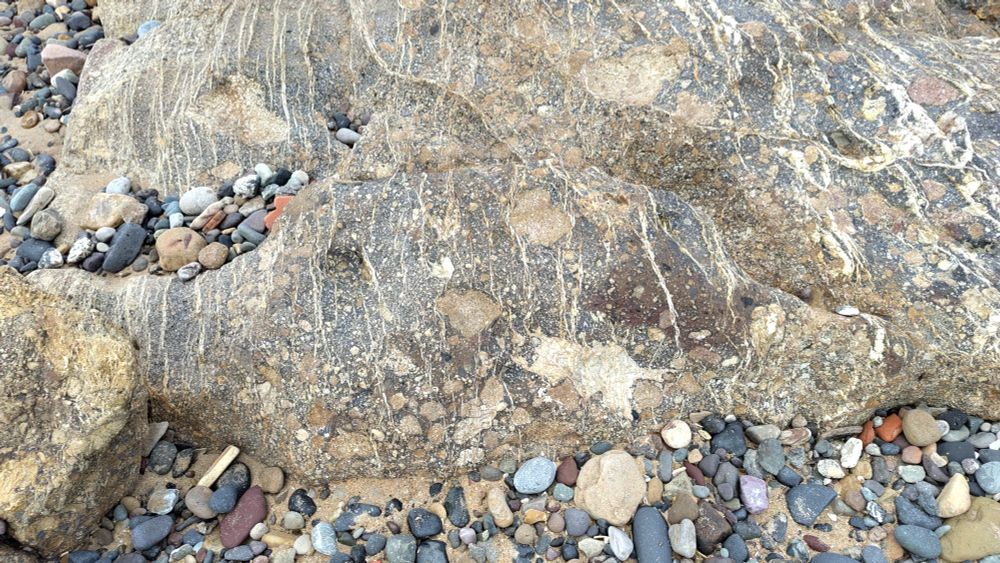 Volcanic breccia with network of parallel calcite veins.