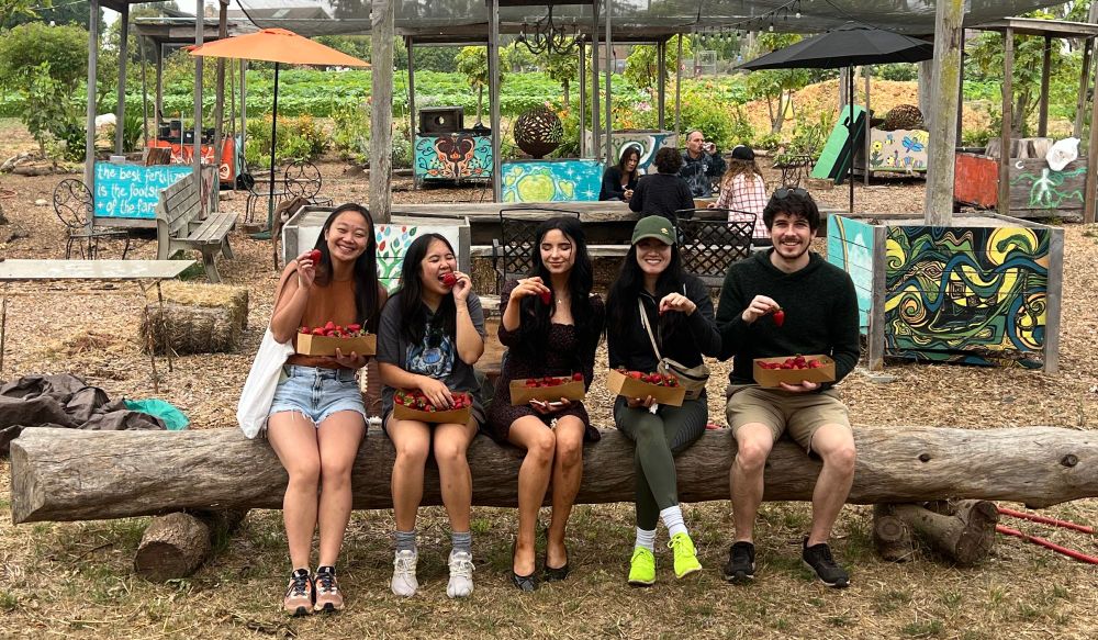 Strawberry picking during a lab retreat