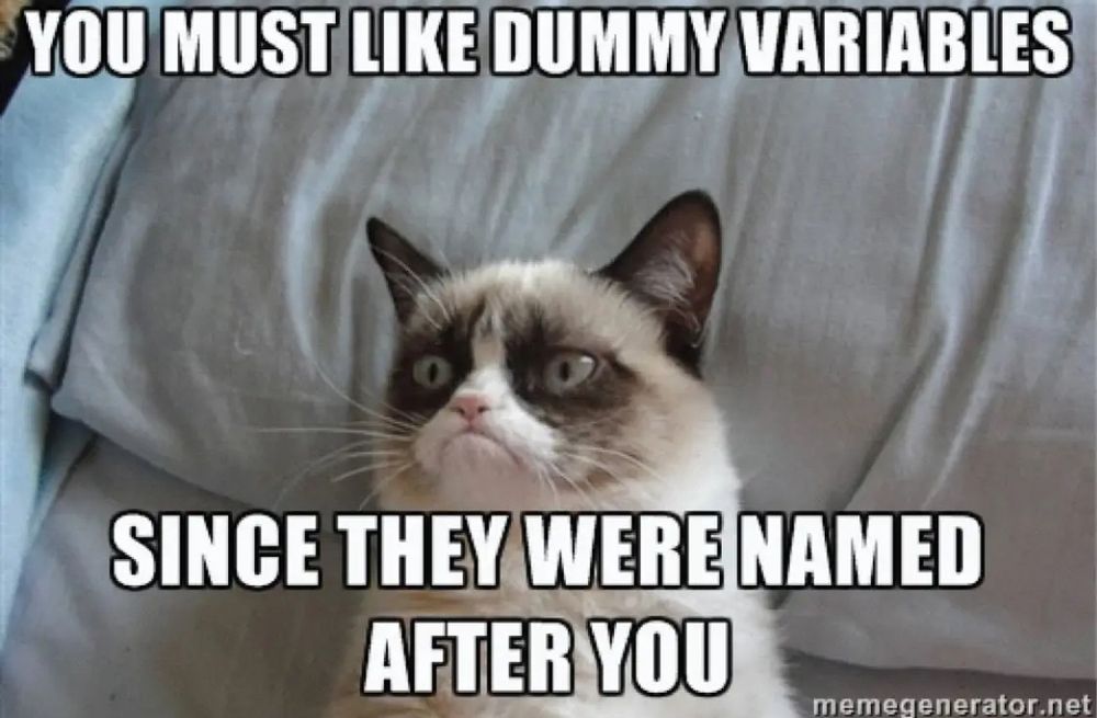 Grumpy cat with the caption, “you must like dummy variables since they were named after you”