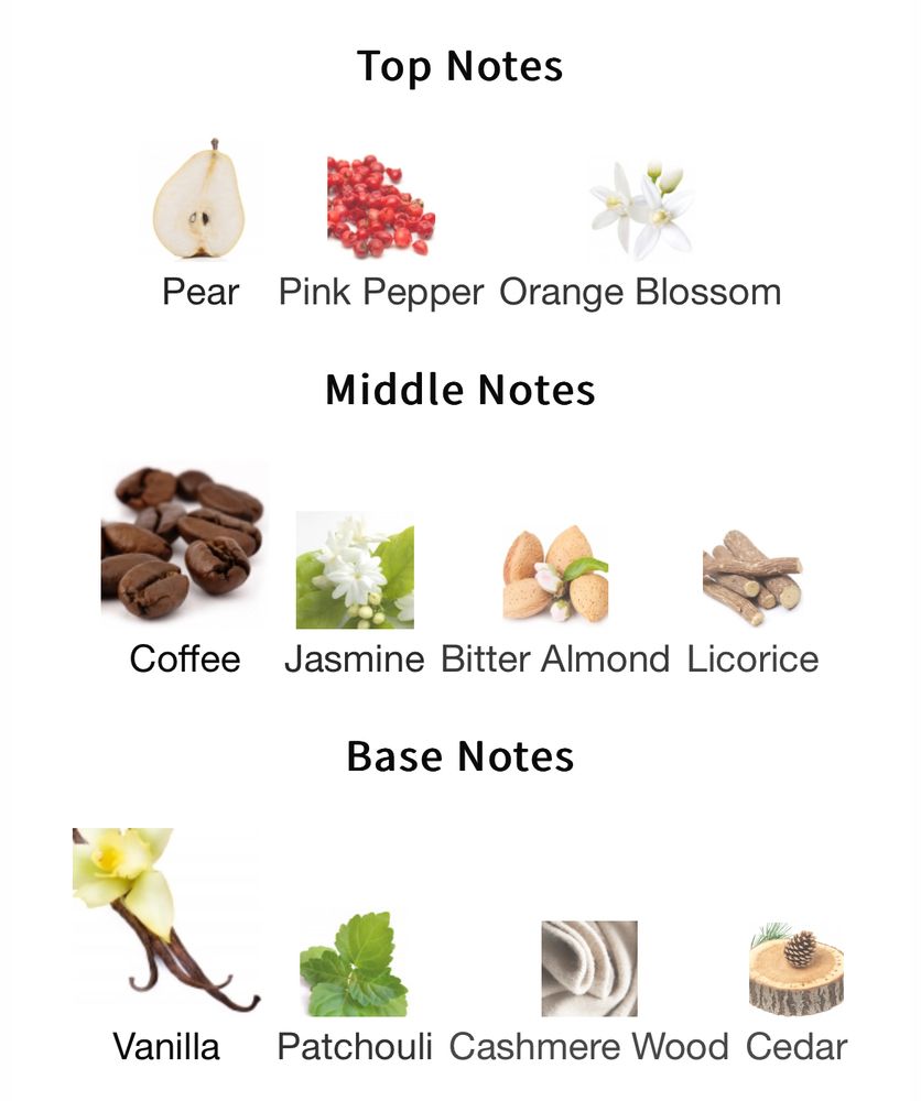 Top Notes: Pear, Pink Pepper, Orange Blossom
Middle Notes: Coffee, Jasmine, Bitter Almond, Licorice
Base Notes: Vanilla, Patchouli, Cashmere Wood, Cedar