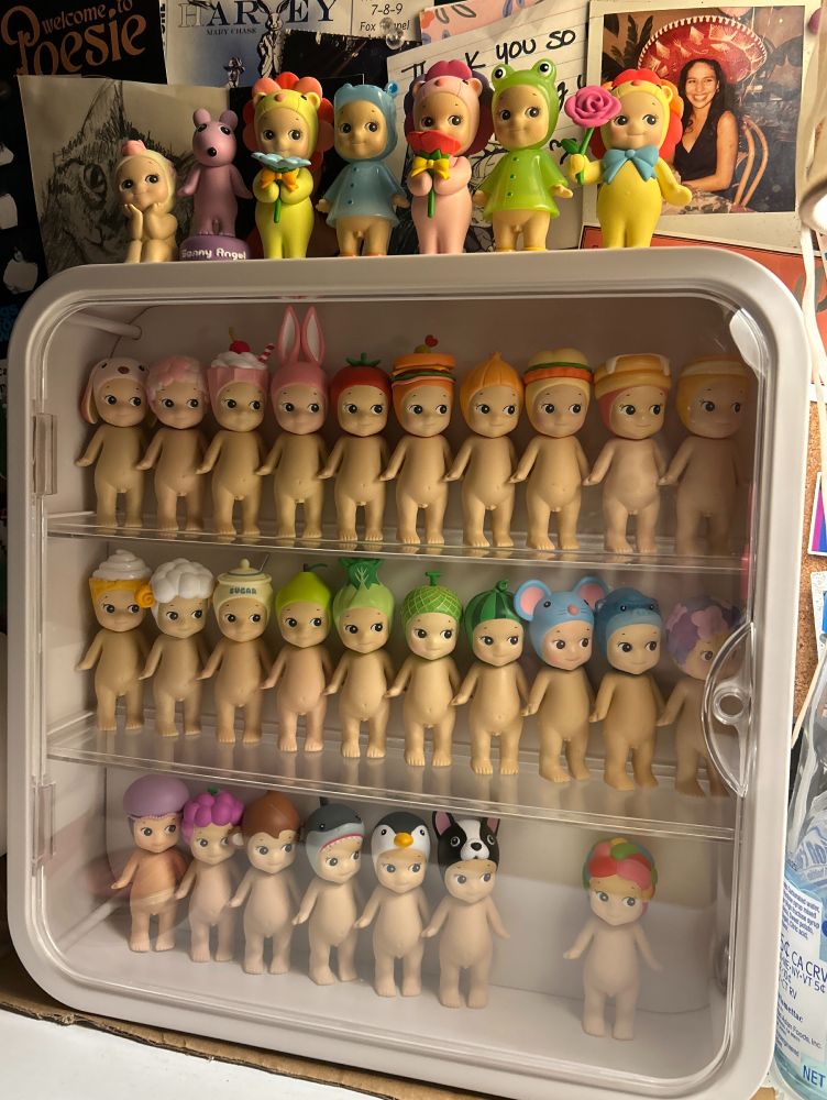 A 3 tiered white display case with a clear plastic door containing many Sonny Angel figurines organized in rainbow order. There are some on the top of the case as well. From left to right, top to bottom:

On Top: Cherry Blossom Series (Hanami Edition) Parrot, Flower Series Robby, Flower Gift Series Lime Daisy Lion, Rainy Day Series Hippopotamus, FG Series Pink Rose Lion, RD Series Frog, FG series Yellow Rose Lion

Top Shelf: Lop Eared Rabbit, Cherry Blossom, Milkshake, Rabbit, Tomato, Sandwich, Onion, Chicken Sandwich, Pancake, Cream Puff

Middle Shelf: Ice Cream, Sheep, Sugar Jar, Pear, Bok Choy, Melon, Watermelon, Mouse, Gorilla, Hydrangea

Bottom Shelf: Jellyfish, Grape, Monkey, Shark, Penguin, French Bulldog, (GAP), Jellybean