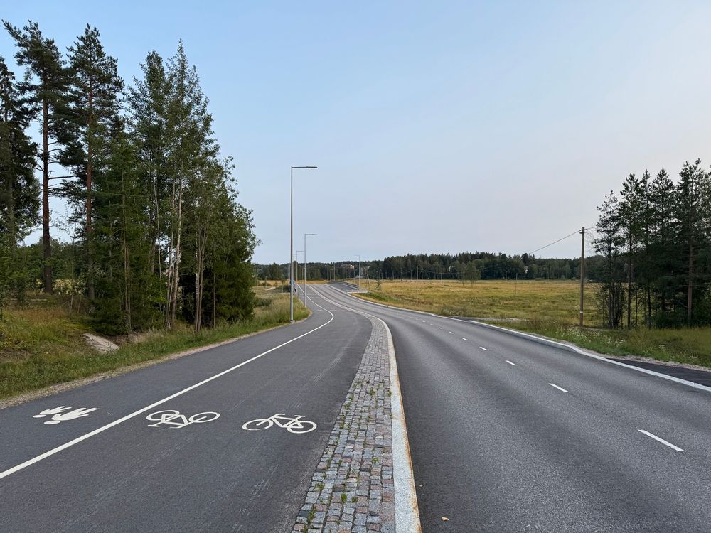 Eine zweispurige Straße, die sich leicht nach rechts in die Ferne schlängelt. Rechts befindet sich die Fahrbahn für Autos, links davon ein separater, breiter Asphaltweg für Fußgänger und Radfahrer, erkennbar an weißen Markierungen mit einem Fußgänger- und zwei Fahrradsymbolen. Zwischen beiden Wegen verläuft ein schmaler, gepflasterter Streifen aus grauen Steinen. Beide Wege sind in etwa gleich breit.

Links am Weg steht eine Gruppe von Bäumen, hauptsächlich Kiefern und Birken, dahinter Wiese. Rechts neben der Fahrbahn liegt eine offene, weite Wiesenfläche, die sich bis zu einem fernen Waldstreifen erstreckt. Einige Straßenlaternen stehen entlang beider Wege. Der Himmel ist klar und hellblau, ohne sichtbare Wolken – die Stimmung wirkt ruhig und friedlich.