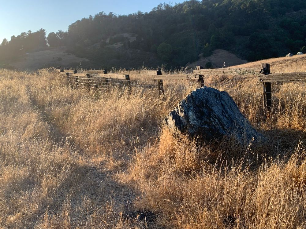 Prairie of golden brown grass and a stone beside a fence. 