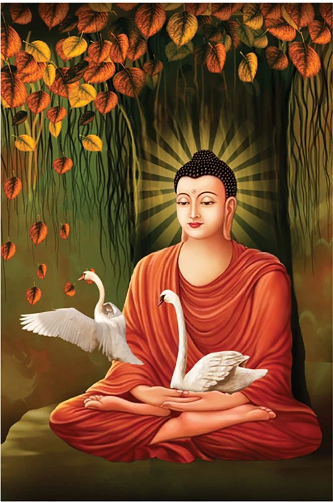 Comment image
