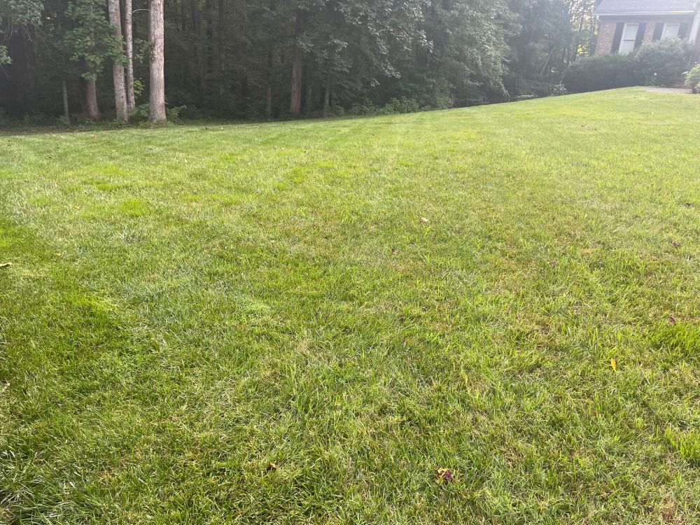 Hartzell’s fescue palace
