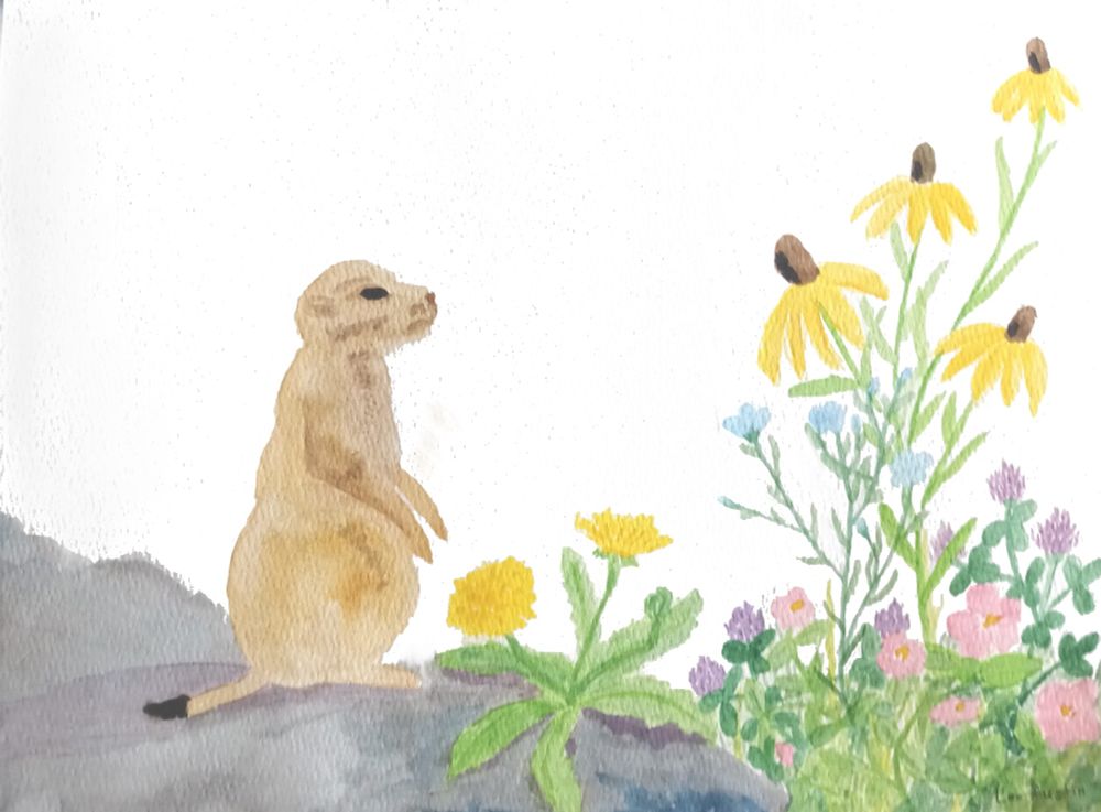 A black tail prairie dog on a rock looks out over wildflowers, including a dandilion, prairie rose, blue flax, purple clover, and yellow coneflowers.