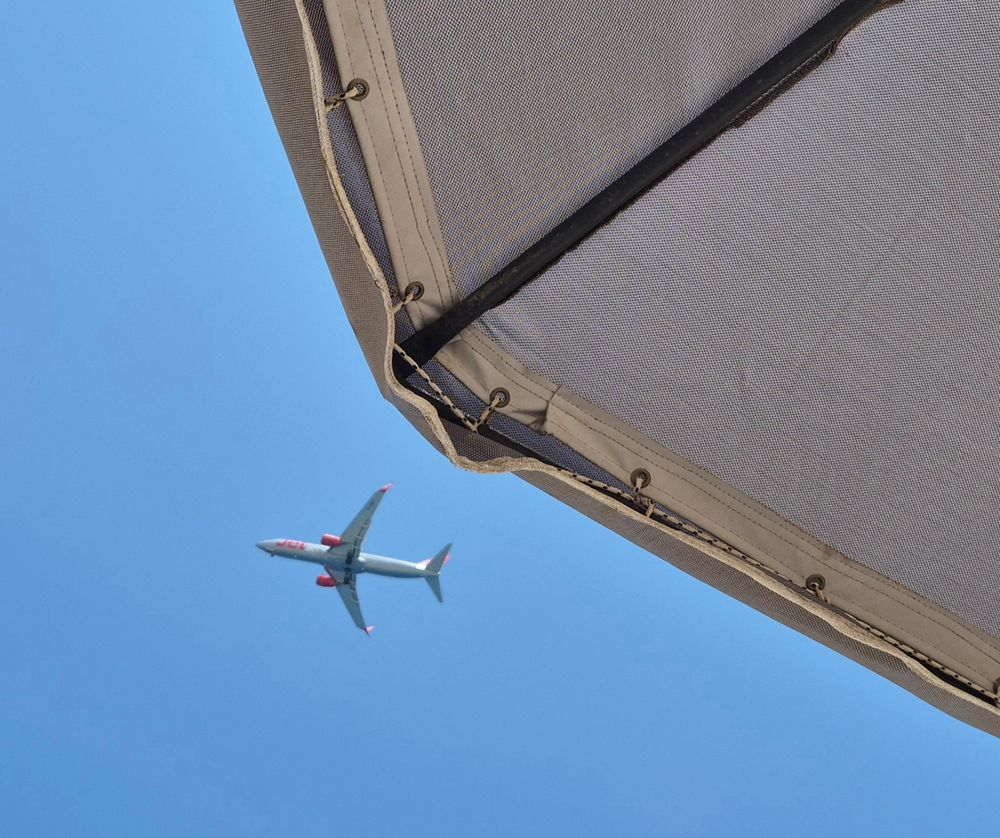 A plane flies overhead at 12:04pm