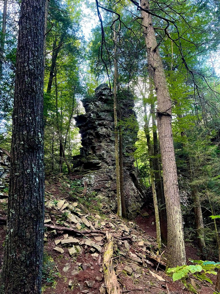 A tall sandstone pillar stands tall among the trees. It’s a natural formation known as The Chimney