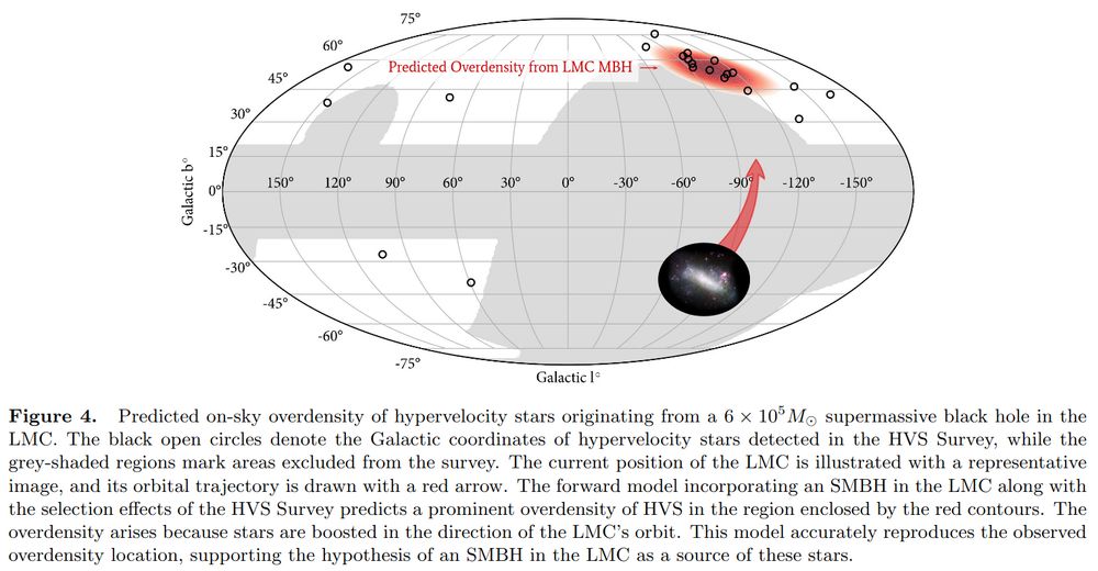 A figure from the paper (Figure 4). It shows the locations of known hypervelocity stars as black circles, with the predicted overdensity that the LMC would cause shown in red. Full caption:

Predicted on-sky overdensity of hypervelocity stars originating from a 6 × 105M⊙ supermassive black hole in the
LMC. The black open circles denote the Galactic coordinates of hypervelocity stars detected in the HVS Survey, while the
grey-shaded regions mark areas excluded from the survey. The current position of the LMC is illustrated with a representative
image, and its orbital trajectory is drawn with a red arrow. The forward model incorporating an SMBH in the LMC along with
the selection effects of the HVS Survey predicts a prominent overdensity of HVS in the region enclosed by the red contours. The
overdensity arises because stars are boosted in the direction of the LMC’s orbit. This model accurately reproduces the observed
overdensity location, supporting the hypothesis of an SMBH in the LMC as a source of these stars.