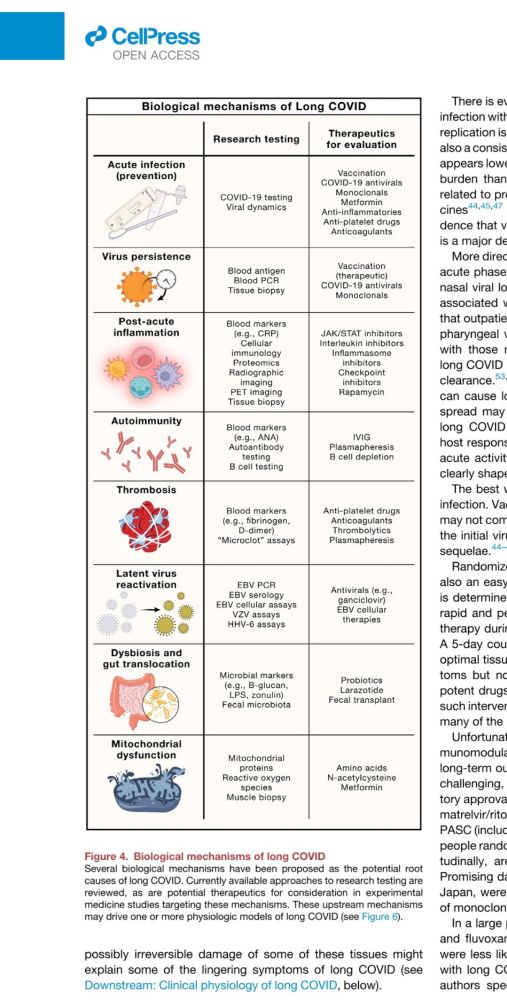 Cell
Volume 187, Issue 20, 3 October 2024, Pages 5500-5529
Review
Mechanisms of long COVID and the path toward therapeutics
Author links open overlay panelMichael J. Peluso 1
, Steven G. Deeks 