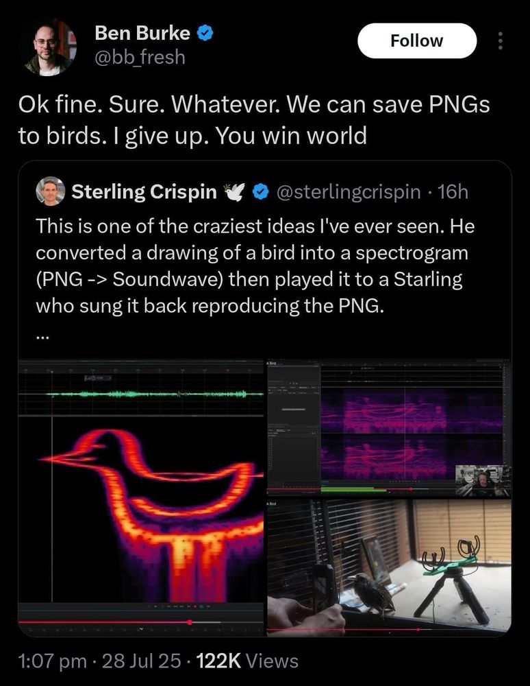 A twitter post explaining how you can “save PNGs to birds” by converting a drawing of a bird into a spectrogram then playing it to a starling who sung it back, reproducing the PNG.