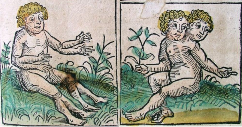 Fetal Remains, Knowledge, and the Making of Early Modern Monsters