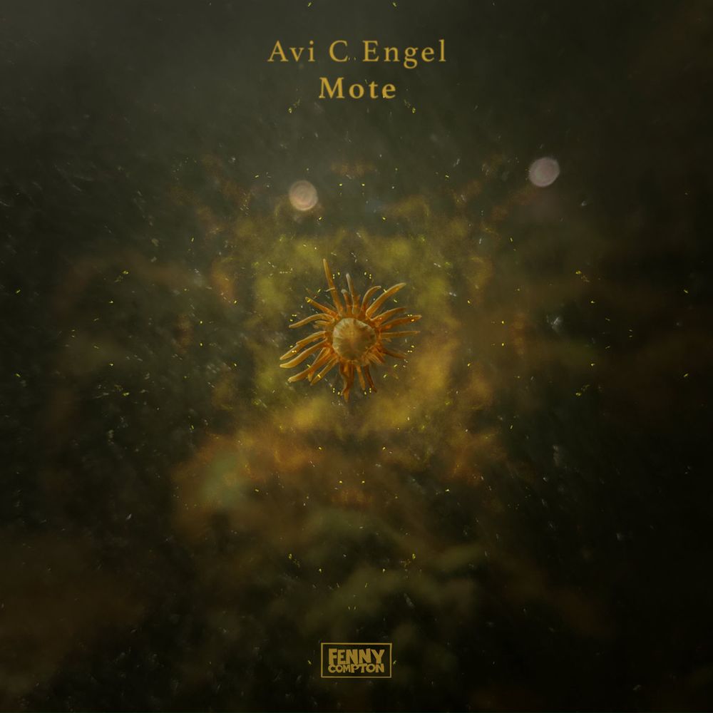 Album cover art for Avi C Engel's album "Mote." The centre of the image features something that looks like a cross between a sea anemone and a nebula, with a backdrop of luminous cloudy murk.