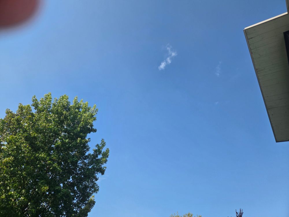 Eine kleine weiße Wolke am strahlend blauen Himmel. Rechts ein Flügel des Flachdachs und links die Krone des Amberbaums. 