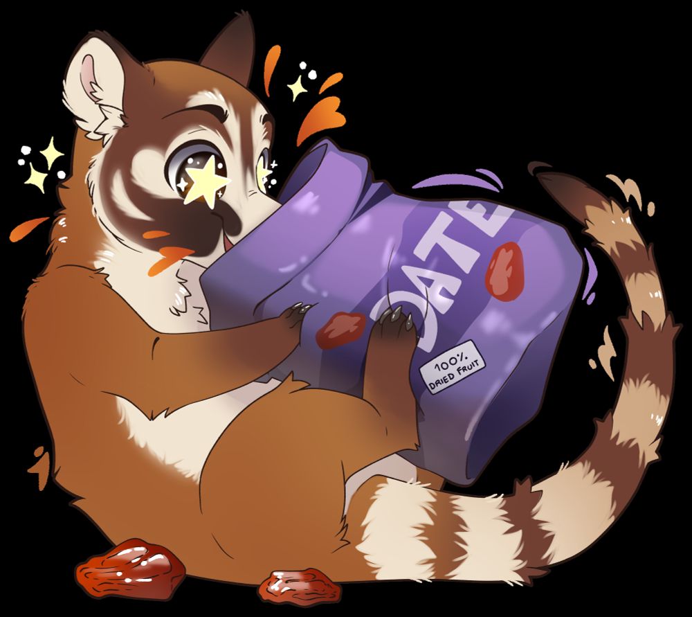 very happy coati eating a bag of dates 