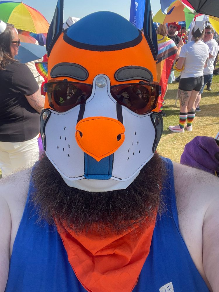 Human puppy with bright colored hood.