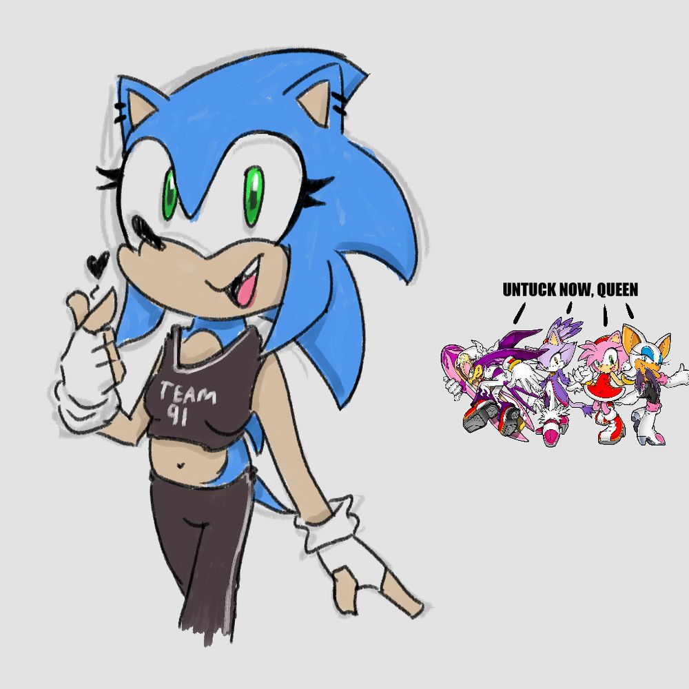 Transfem version of Sonic with a dark sports top and bottoms on with the text "Team 91" on the top. She also has fingerless gloves, ear piercings, eyeliner and lipgloss, and she's doing the Korean finger heart gesture. 

In the background, Amy, Blaze, Rouge and Wave are saying "UNTUCK NOW, QUEEN"