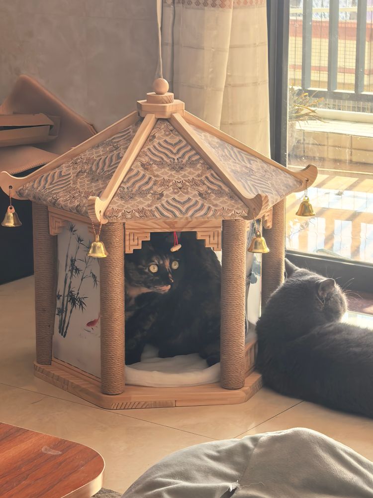 Yoyo, a tortoiseshell cat with massive round eyes, sat inside a small, wooden,  pagoda-style cat house with bells and material prints on the sides. Ash, a gray English shorthair, is lying next to it.