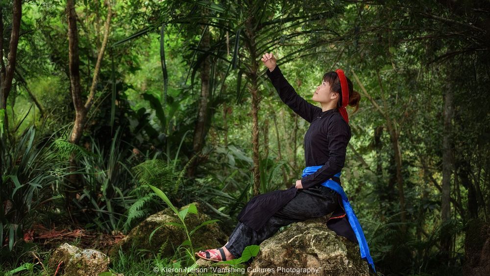 Hoang Thimai is sitting outdoors on a rock in her traditional costume. She is reaching up to inspect a leaf from a tree. 
Tay traditional dress is made from homegrown cotton that is indigo dyed. There is usually little to no embroidery or other decorations. 
Women wear skirts or trousers, often paired with short shirts underneath and long ones worn on top. Hoang Thimai is twenty years old. 
